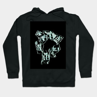 The gift of giving Hoodie